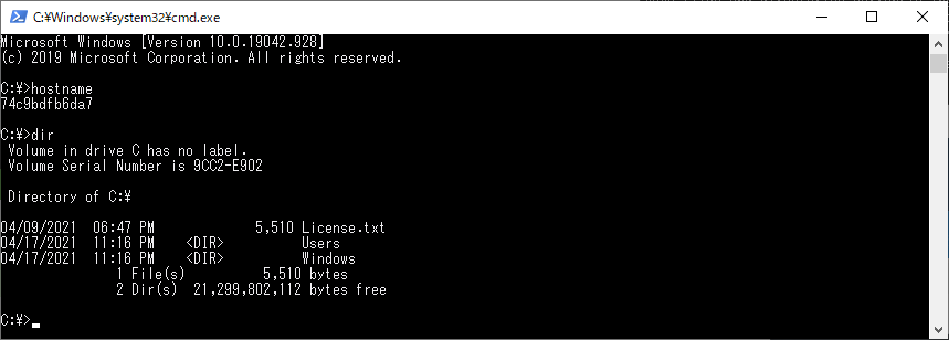 Docker で NanoServer を実行中
