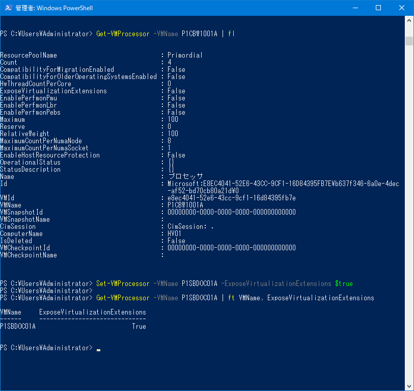 Hyper-V Windows Server 2019 仮想マシンのExposeVirtualizationExtensions有効化