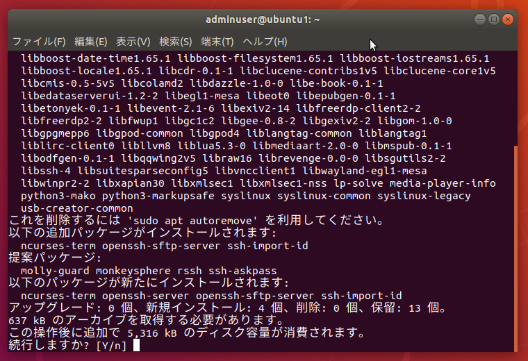 install openssh-server check