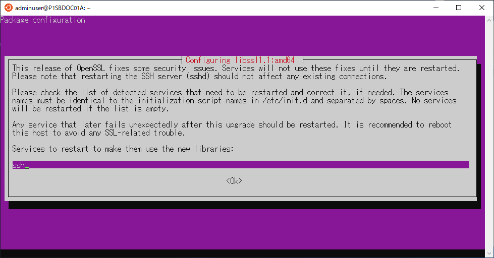 Ubuntu apt apgrade Service OpenSSL確認